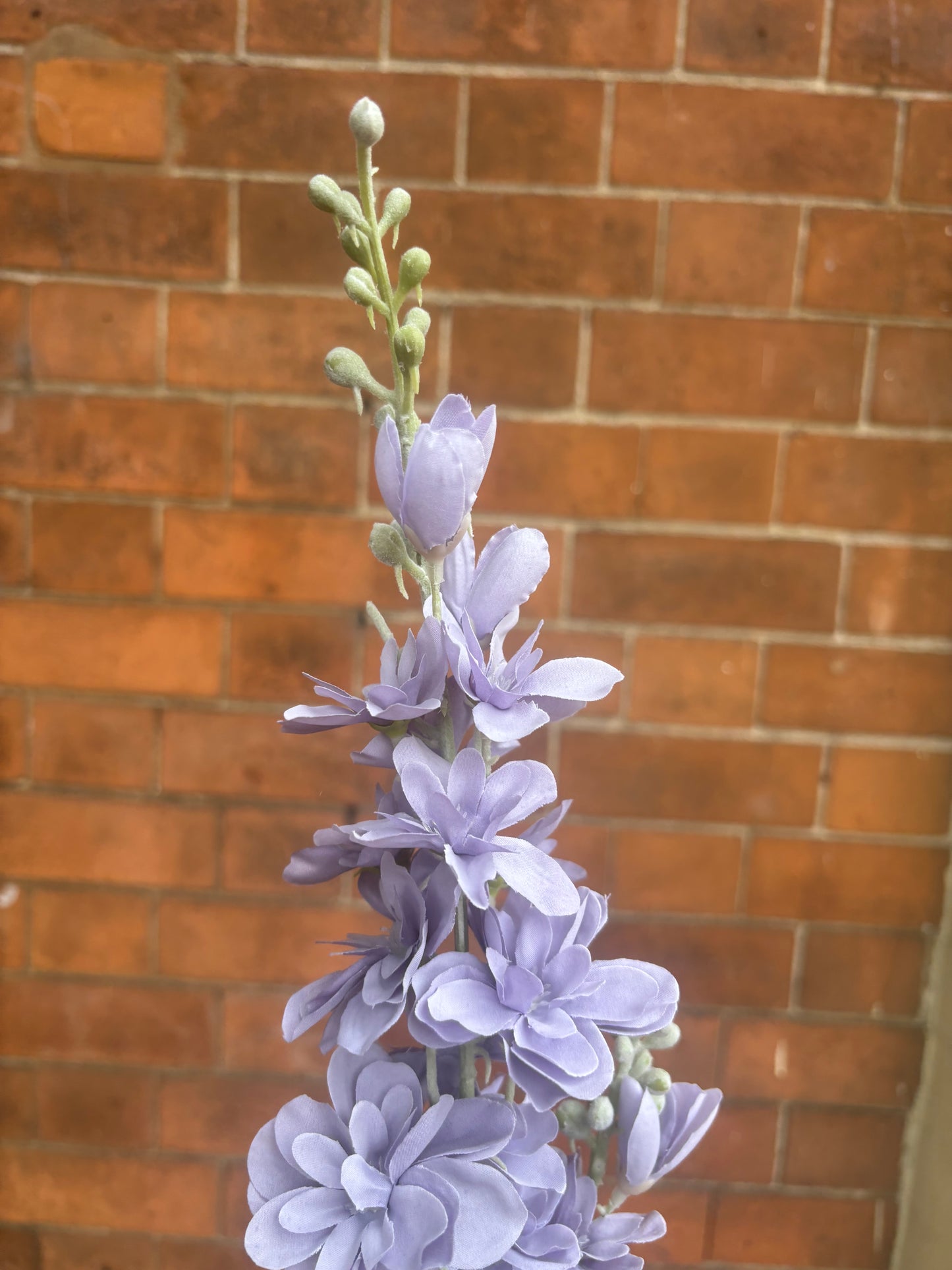 Floral stem Delphinium Lilac