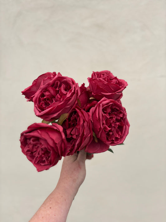 Cabbage rose bunch dark red