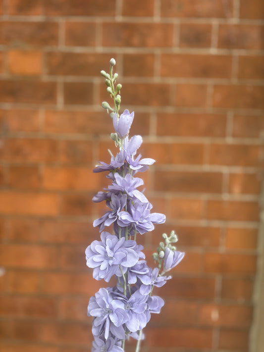 Floral stem Delphinium Lilac