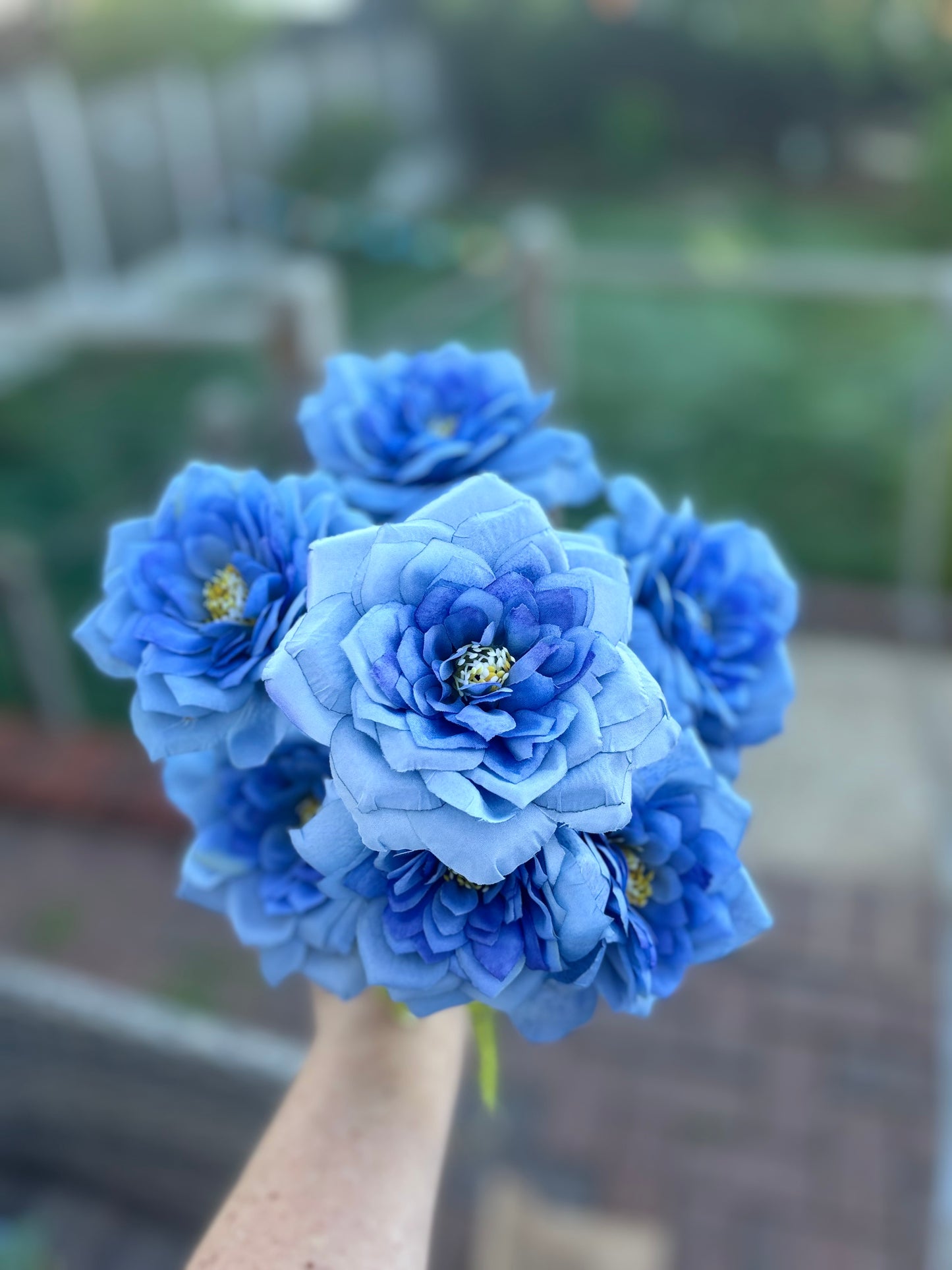 Garden rose bunch blue