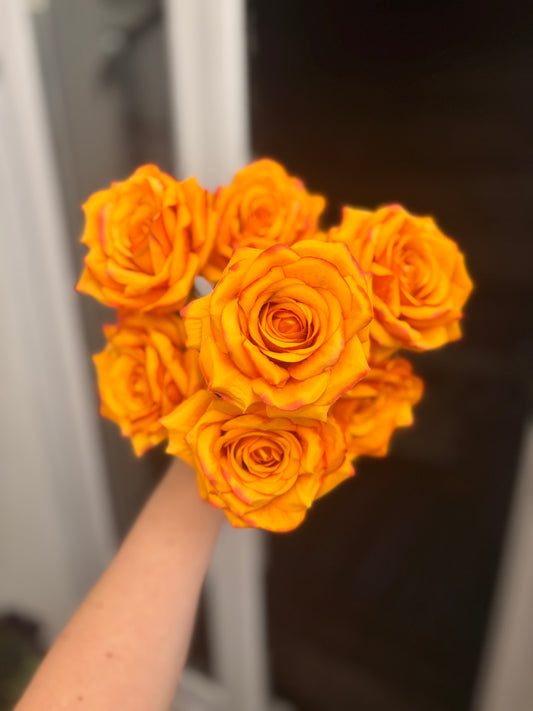 Orange Garden Rose bunch