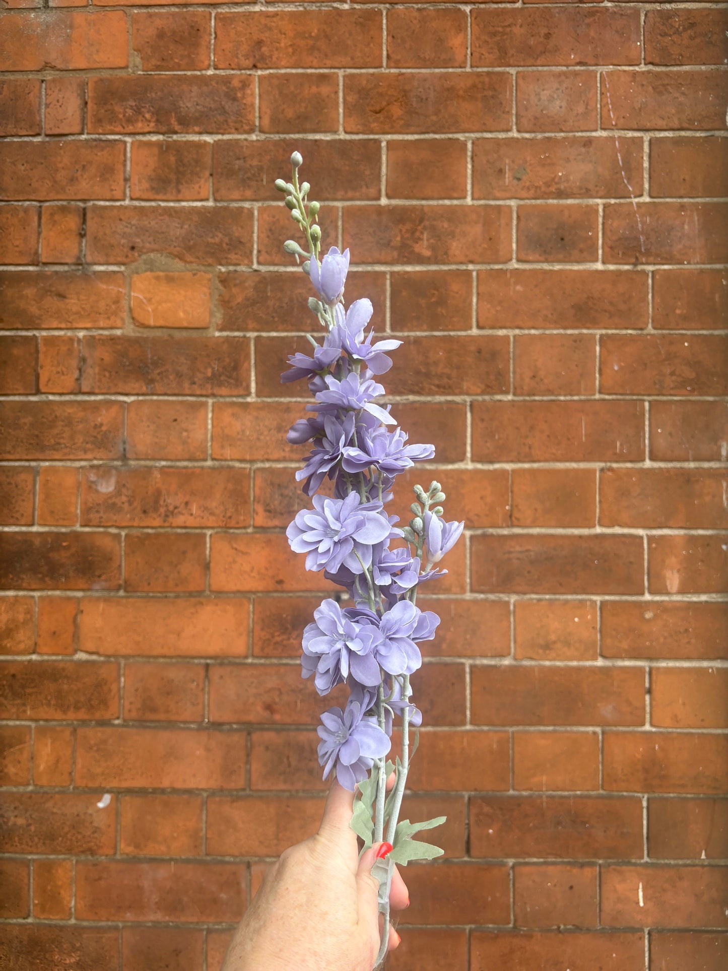Floral stem Delphinium Lilac