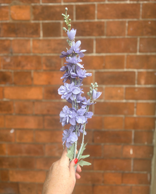 Floral stem Delphinium Lilac
